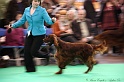 Crufts2011 420